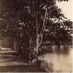 Wilson Avenue and Vine Lake image